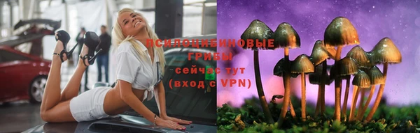 мет Каменногорск