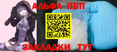ECSTASY Гай