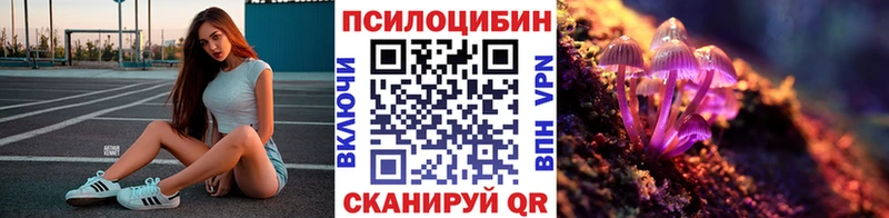 KRAKEN рабочий сайт Ковров Псилоцибиновые грибы Cubensis