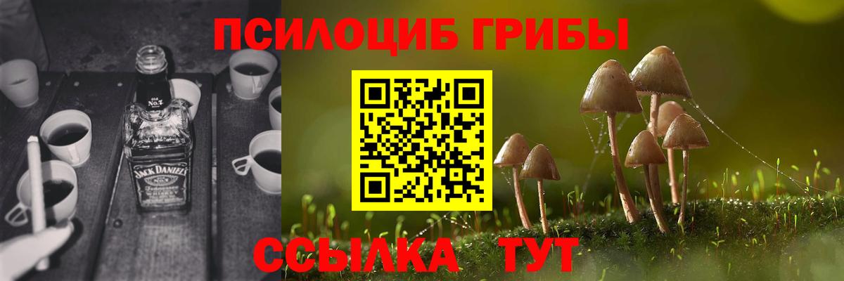 Ковров  Галлюциногенные грибы Magic Shrooms  Псилоцибиновые грибы мицелий  цена наркотик  Вход с VPN 